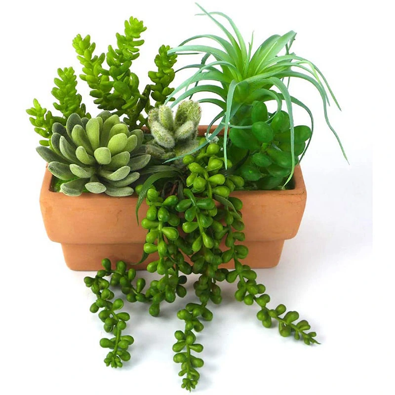 High Quality Plastic Small Lover&prime; S Tears Artificial Succulent Hanging Plants