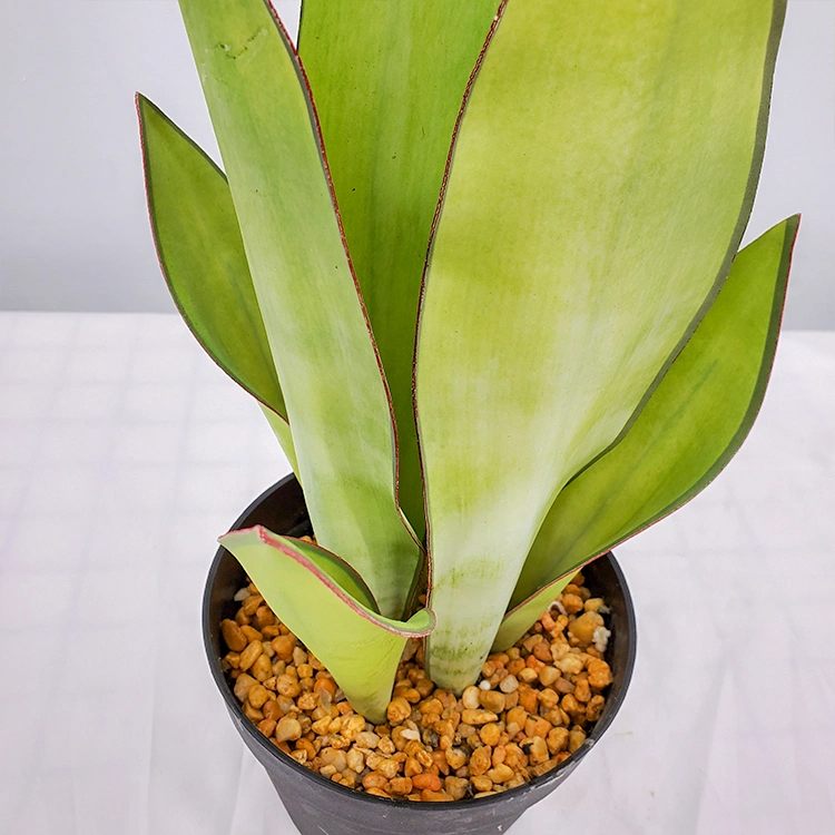 Chinese Lucky Plant Artificial Plant High Quality Snake Plant Artificial